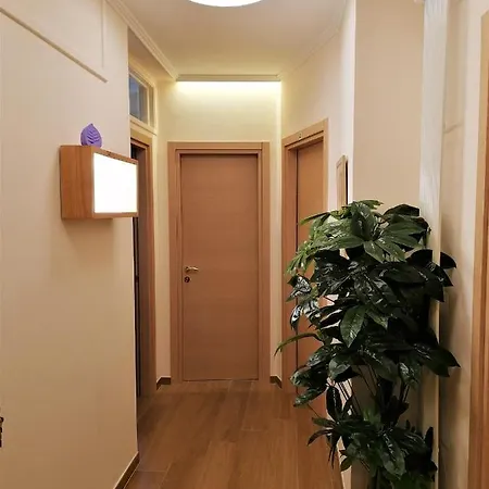 Domus Guest house *